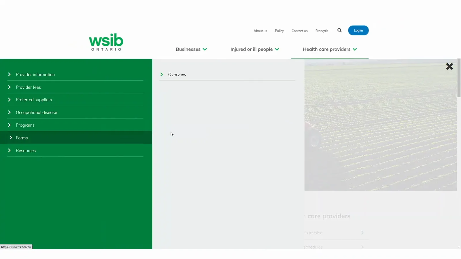 Forms menu on wsib.ca opened under Health care providers with Forms highlighted and the Overview submenu beside it